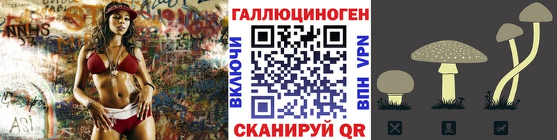 Купить  Дыгулыбгей  Псилоцибиновые грибы MAGIC MUSHROOMS 